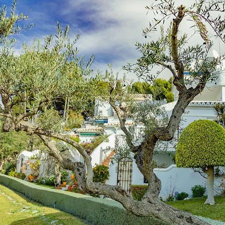 Palmas 15c Oasis Nerja