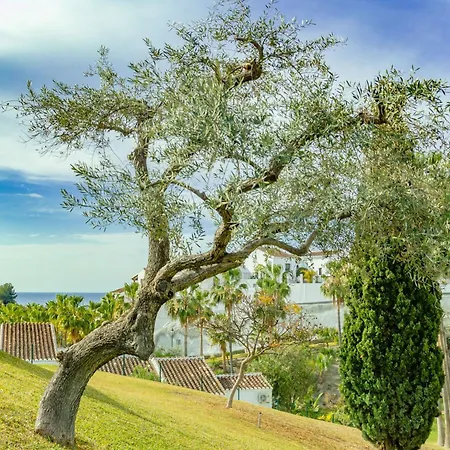 Palmas 15c Oasis Nerja