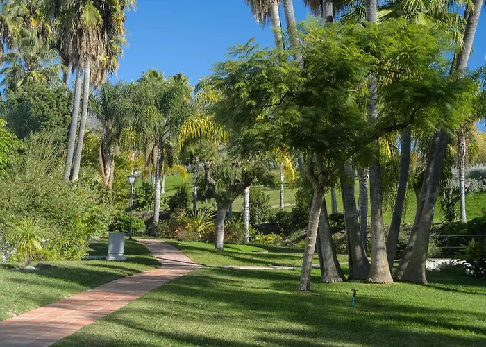 Palmas 15c Oasis Nerja