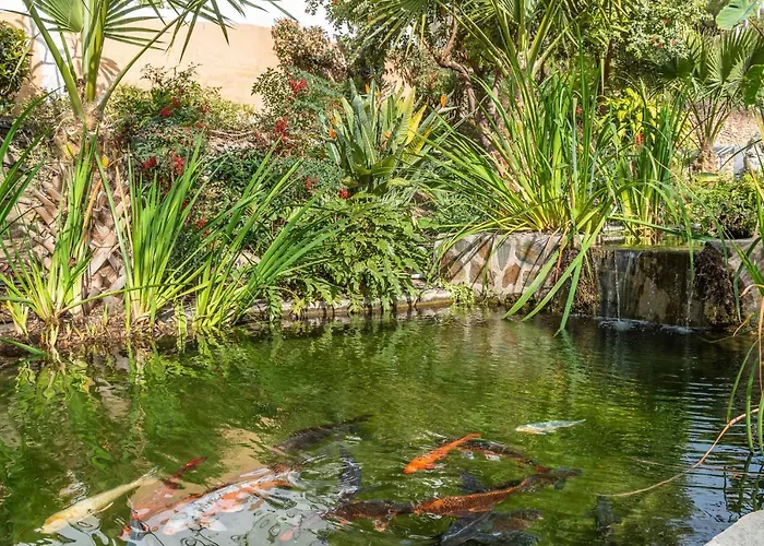 Palmas 15c Oasis Nerja