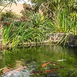 Palmas 15c Oasis Nerja