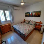 Palmas 15c Oasis