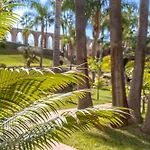 Palmas 15c Oasis