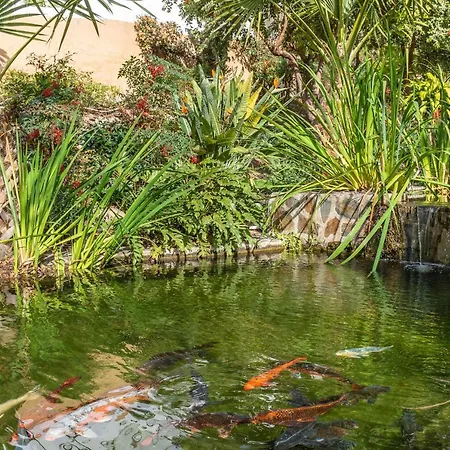 Palmas 15c Oasis Nerja