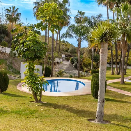 Palmas 15c Oasis *