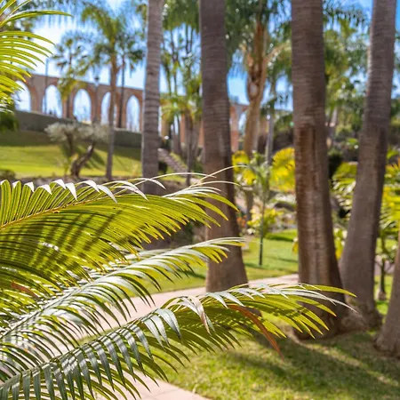 Palmas 15c Oasis