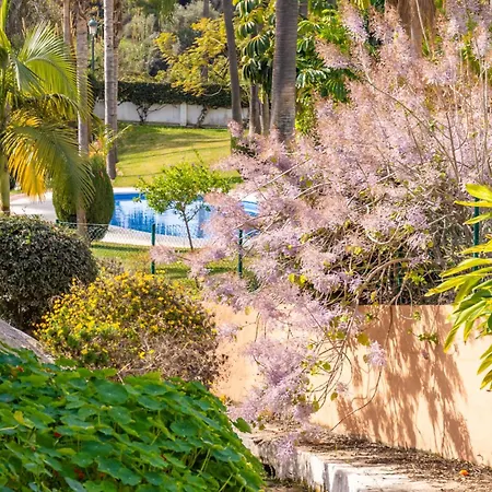 Palmas 15c Oasis Appartement Nerja