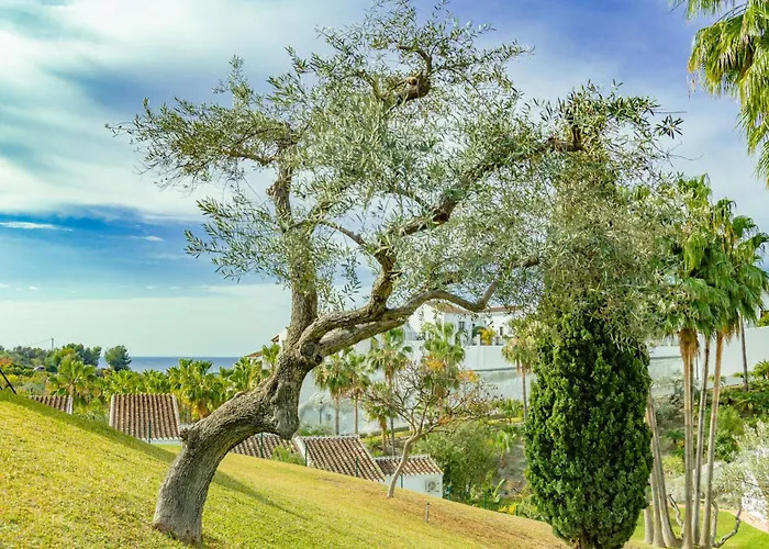 Palmas 15c Oasis Nerja