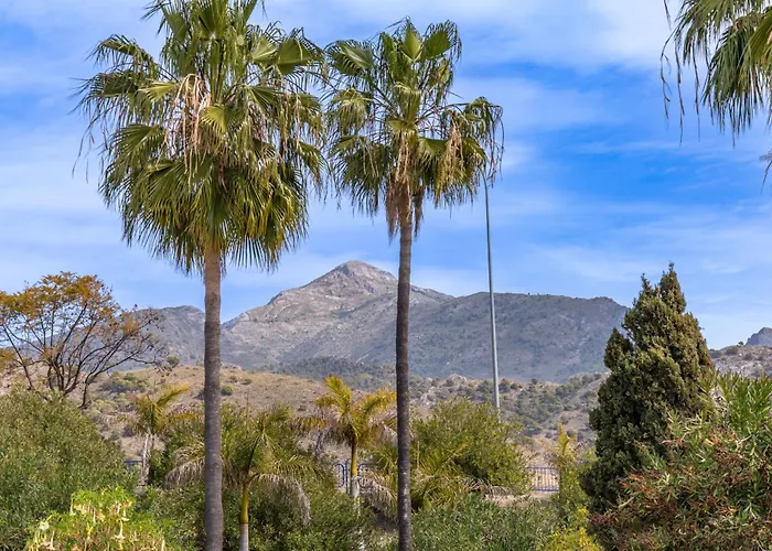 Palmas 15c Oasis * Nerja